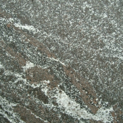 Tundra