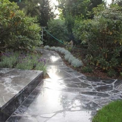 Pool- und Gartengestaltung