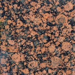 Baltic Rot
